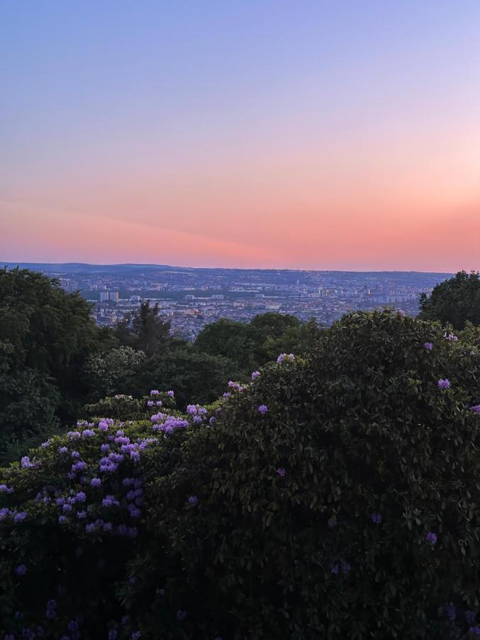 Apartment Oasis - Wohnen Im Koenigspark - Elbhang - Grosse Terrasse - Netflix - Tg *